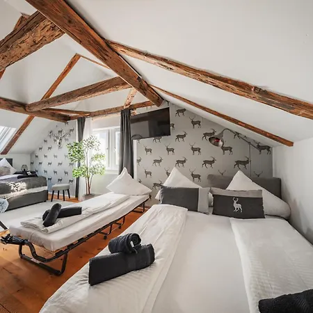 Innsbruck City Chalet-2