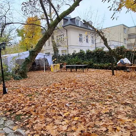 King David Garden-2