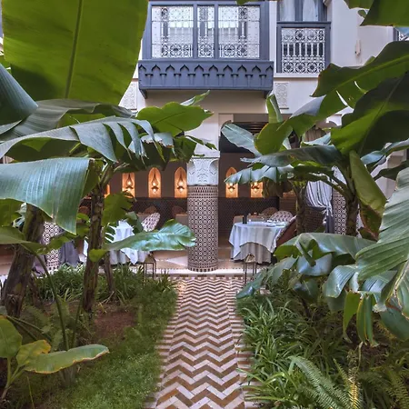 Riad Kheirredine-3