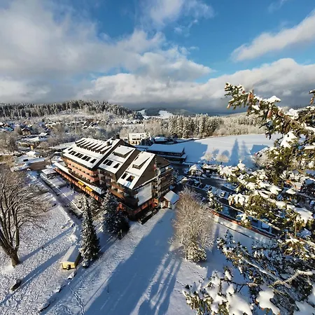 Maritim Titisee Hotel-3