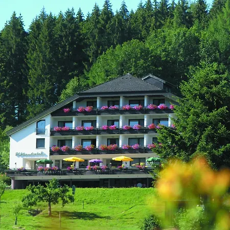 Pfeifles Höhenhotel-2