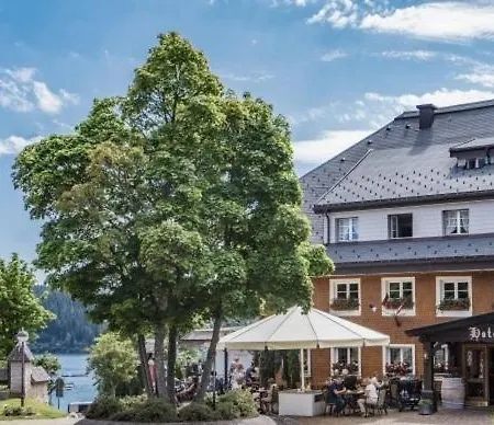 Hotel Schiff am Schluchsee-2