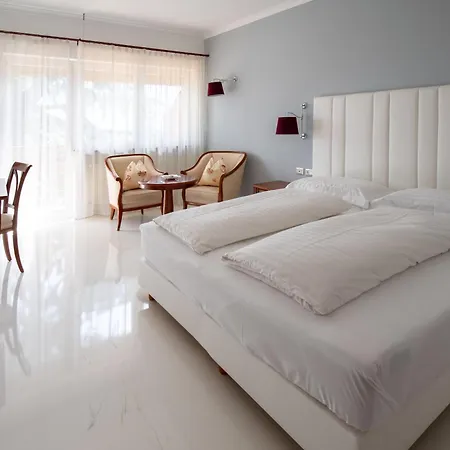 Hotel Aster-2