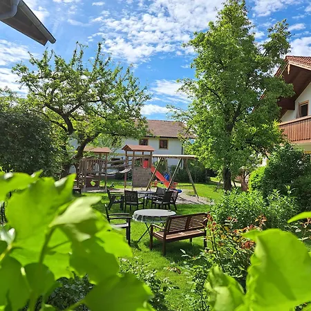 Gäste- und Apartmenthaus Wiesholler-3
