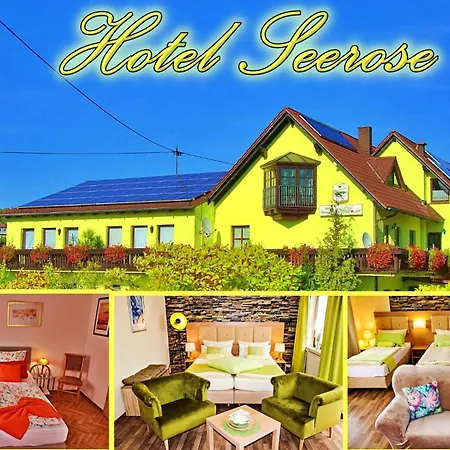 Hotel Seerose Garni-3
