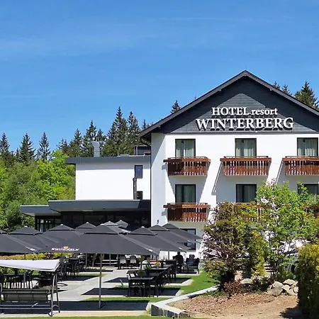 Hotel Winterberg Resort-2