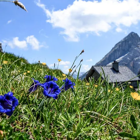 Haus BergGesundZeit Doppelzimmer Kärlingerhaus-3
