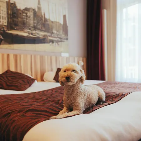 Boutique Hotel Asterisk, A Family Run Hotel-2