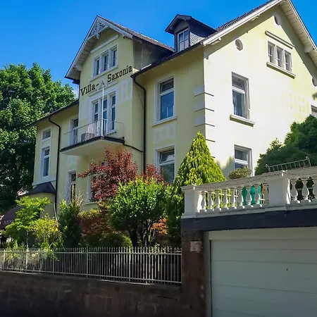 Wohlfühlhotel Saxonia-2