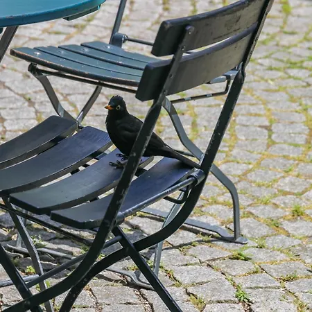 Pension Katzensprung-3