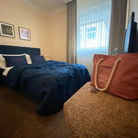 Harz Hotel & Spa Seela-2