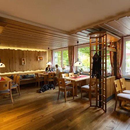 Hotel Kleins Wiese-2