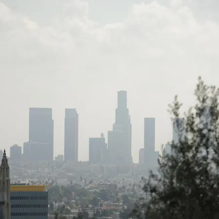 Hollywood Hills Hotel-3