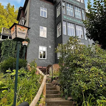 Pension Waldschlösschen-3