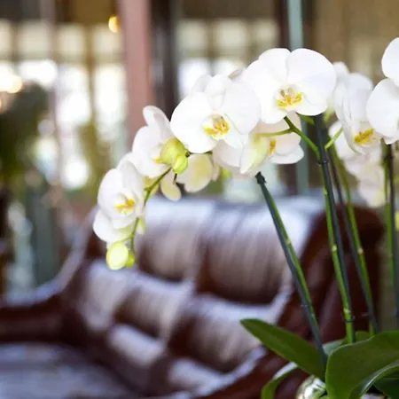 Hotel Garni Geisler-2