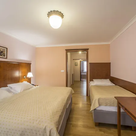 Hotel Cerny Slon-3