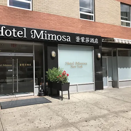 Hotel Mimosa-2