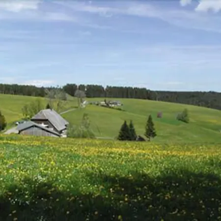 Café-Pension Feldbergblick-2
