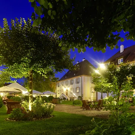 Schloss Reinach-3