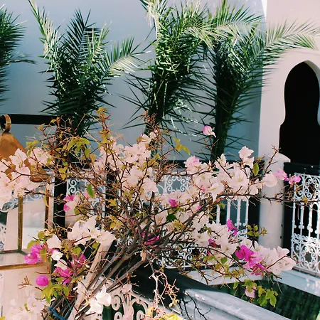 Riad L'Emir-2