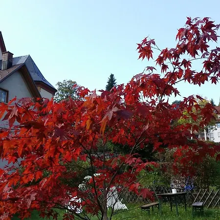 Europaeisches Gaeste- Und Seminarhaus-2