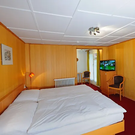 Hotel Alphubel-2