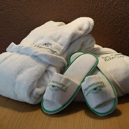 Hotel Eckartauerhof-3