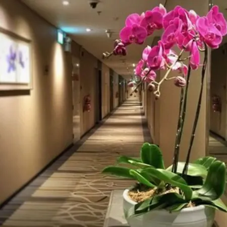 Ambassador Transit Hotel - Terminal 3-2
