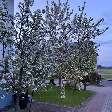 Hotel am Müritz-Nationalpark-3