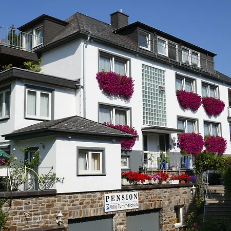 Hotel Villa Tummelchen-2