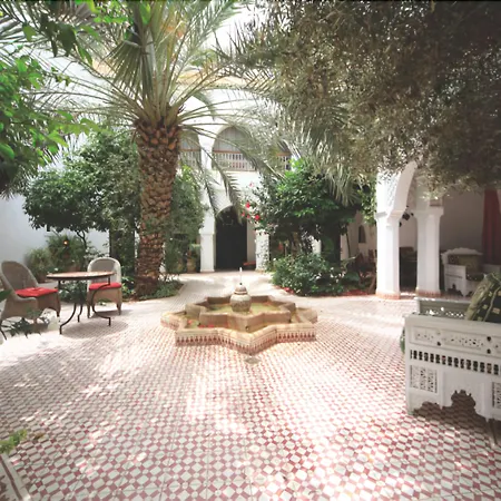 Riad Ifoulki-3