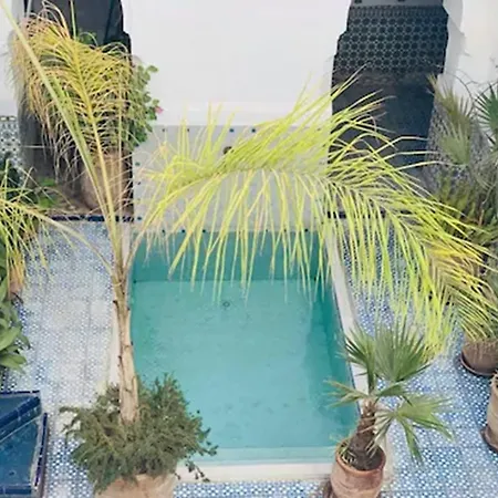 Riad Ifoulki-2