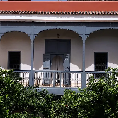 Riad Tchaikana-2