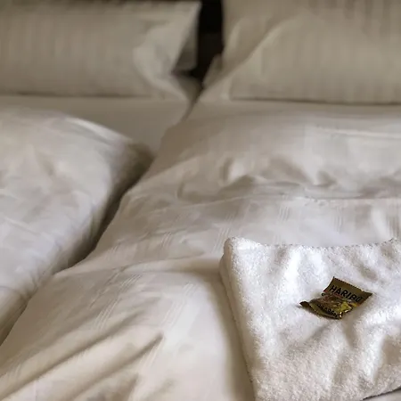 Hotel Junkerhaus-2