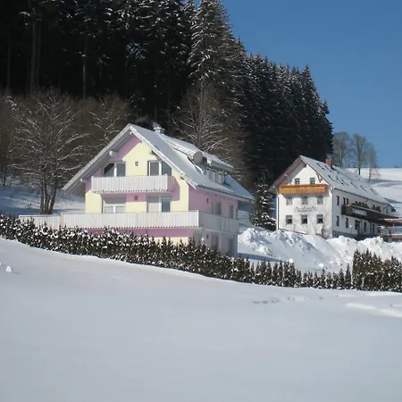 Gasthaus Pension Donishäusle-3