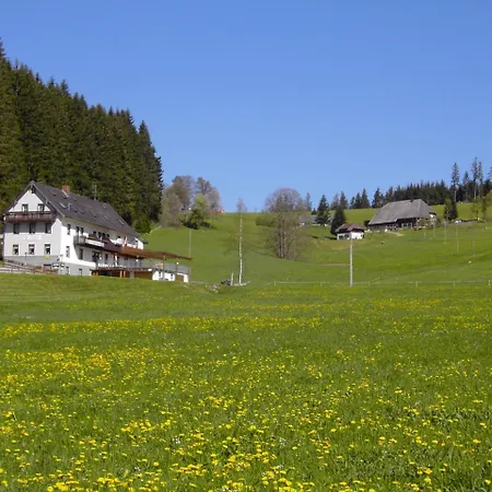 Gasthaus Pension Donishäusle-2