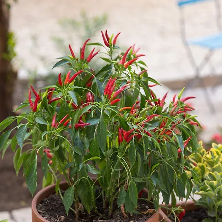 Borgo Vergini Garden B&B-3
