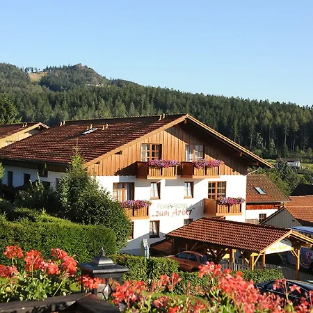 Ferien- und Aktivhotel Zum Arber-2