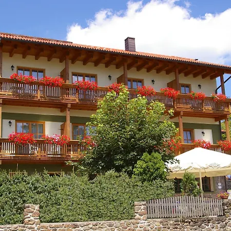 Pension Zur Alten Schmiede-3