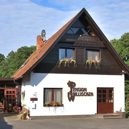 Pension Willischza-2