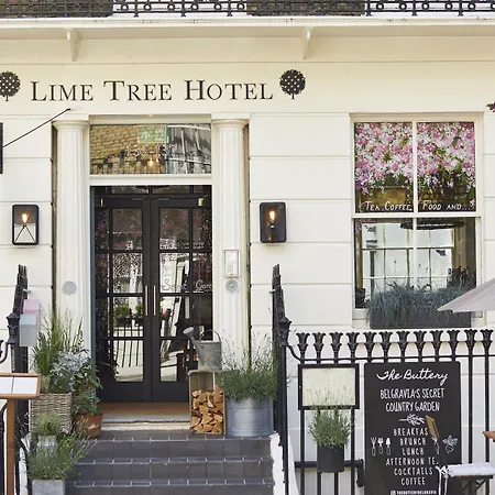 Room Mate Lime Tree-2