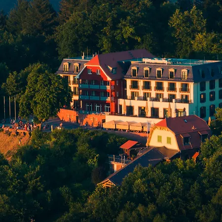 Berggasthof Königstuhl-2