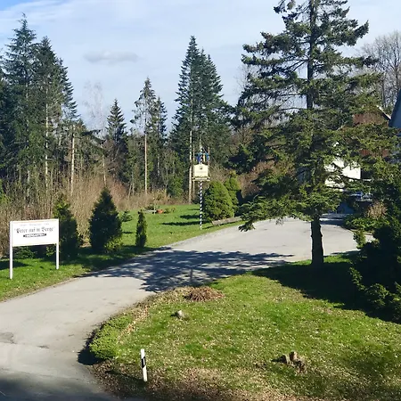 Waldhotel Peter aufm Berge-2