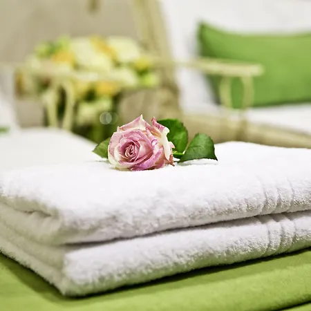 Hotel Freisinger Hof-3