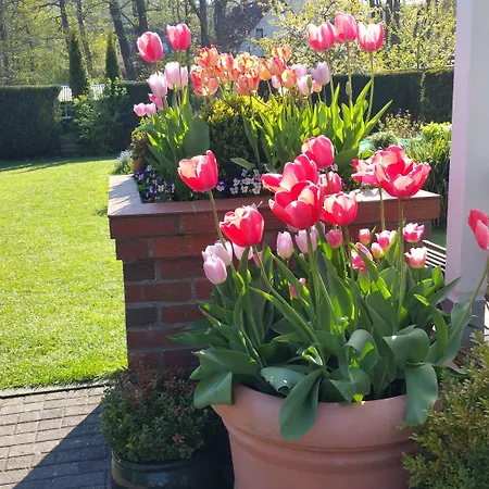 Hotel-Pension Am Fuchsberg-2