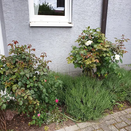 Pension Boitz-2