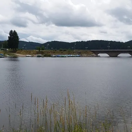Hotel Pension am See-3