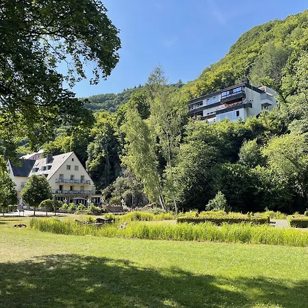 Hotel Alte Mühle-2