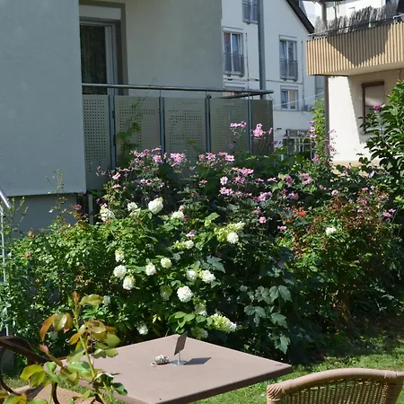 Hotel Weinstube Ochsen-3