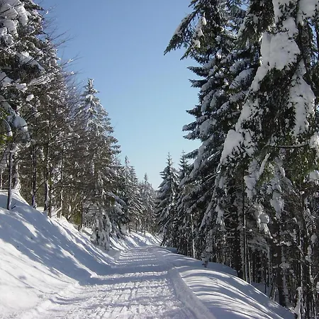 Pension / FW Gästehaus Stern-3